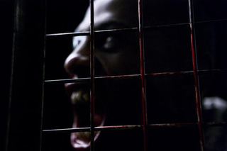 Illustration for article titled Vengeful Babies, Zombie Romeo And Juliet And The Horde Stills